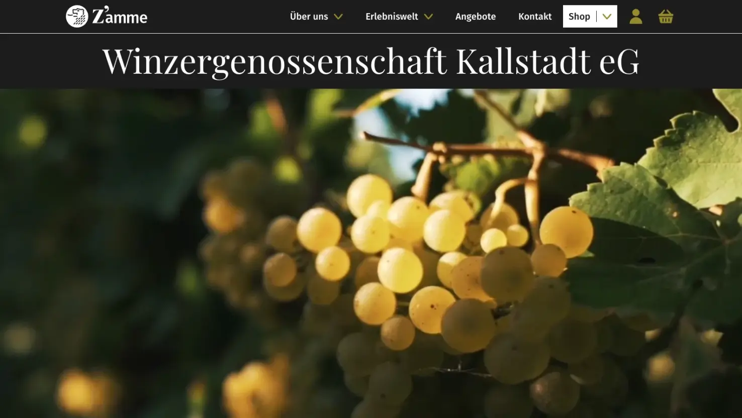 Abbildung der Website der Winzergenossenschaft Kallstadt, deren Website und Webshop mit WordPress und WooCommerce umgesetzt wurde.